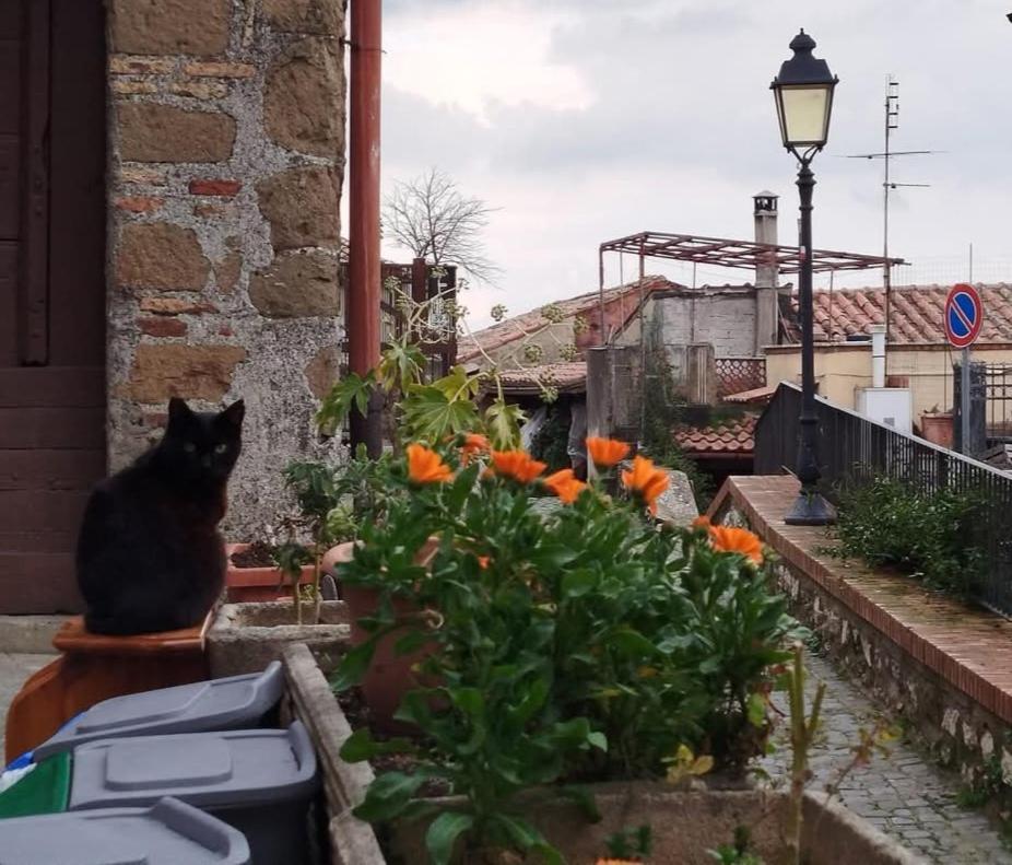 La Casetta Di Joanna Palestrina Esterno foto